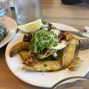 Taverna Tony - Octopus - Greek Near Me - Malibu, California Taverna Tony - Octopus - Greek Near Me - Malibu, California