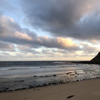 Phillip Island Penguin Parade - Parks Near Me - Summerlands, VIC