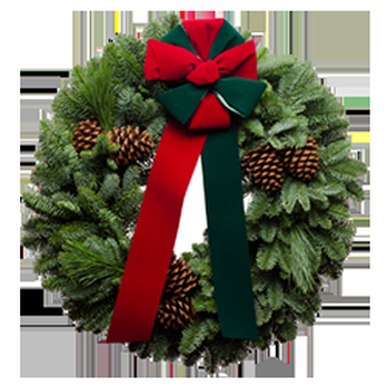 Christmas Forest - Florists Near Me - Curtis, Washington Christmas Forest - Florists Near Me - Curtis, Washington