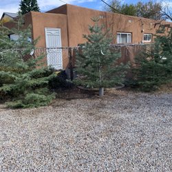 Garcia Family Christmas Trees