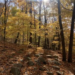 Pyramid Mountain Natural Historic Area