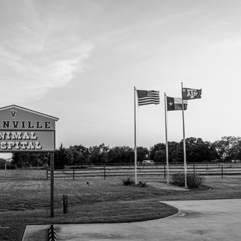 Boonville Animal Hospital - Veterinarians Near Me - Bryan, Texas Boonville Animal Hospital - Veterinarians Near Me - Bryan, Texas