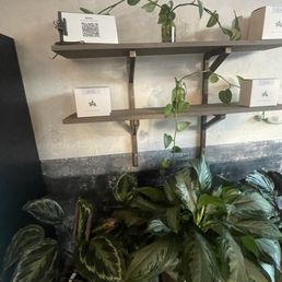 Decor