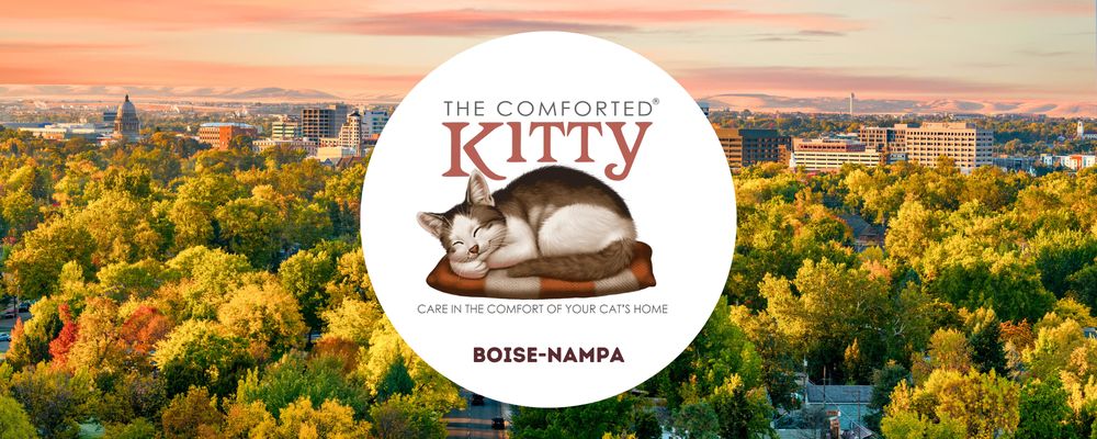 The Comforted Kitty - pet boarding facility in Boise, ID