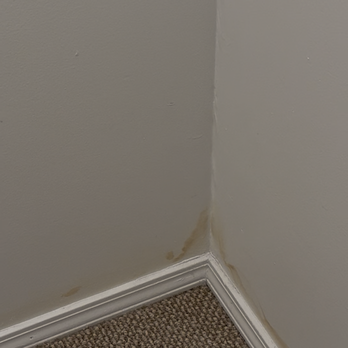 Kinwood by WIllow Bridge - PRIMARY CLOSET LEAK - Apartments Near Me - Rensselaer, New York Kinwood by WIllow Bridge - PRIMARY CLOSET LEAK - Apartments Near Me - Rensselaer, New York