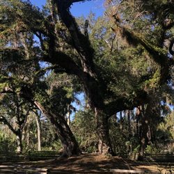 Battle of the Loxahatchee