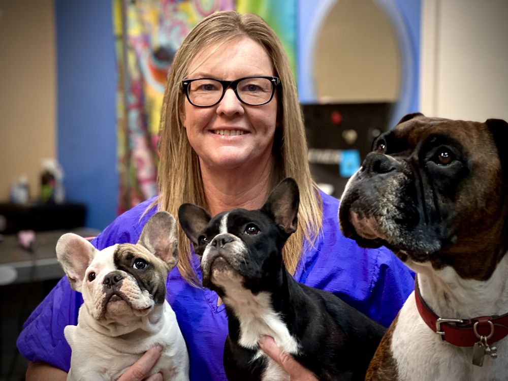 C&J GROOMING Updated October 2024 44 Photos & 11 Reviews 1609 E