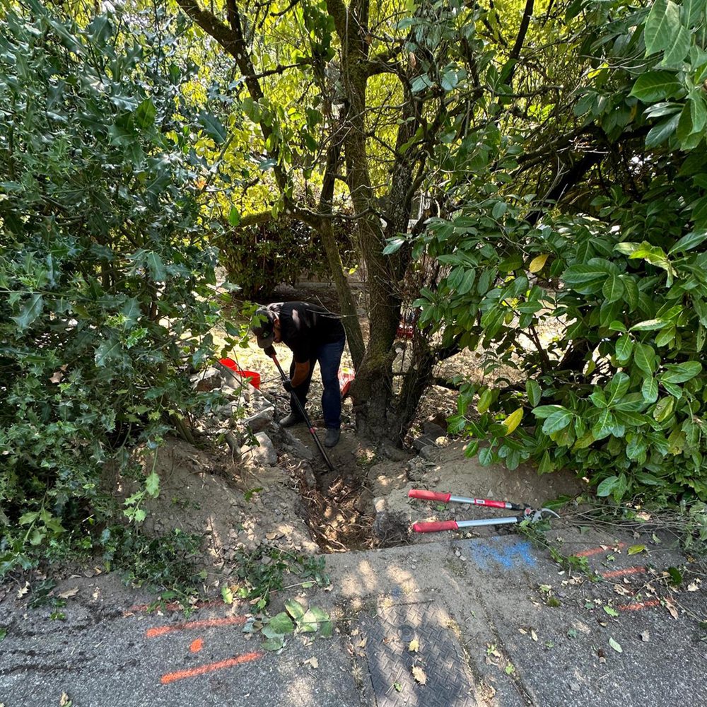 Slide of Ready Rooter