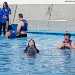 Dolphin Discovery - A kiss from Meztli