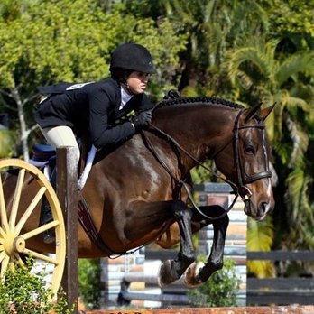 Carriage Hill Farms - Hunters - Horseback Riding Near Me - Delray Beach, Florida Carriage Hill Farms - Hunters - Horseback Riding Near Me - Delray Beach, Florida
