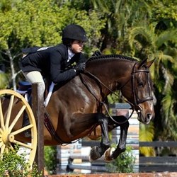Carriage Hill Farms - Hunters