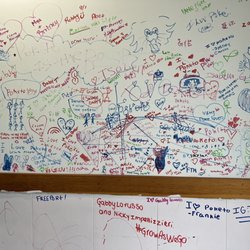 Poketo - The wall continues...
