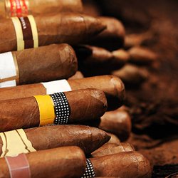 Cigar and Tobacco - Cigar shop