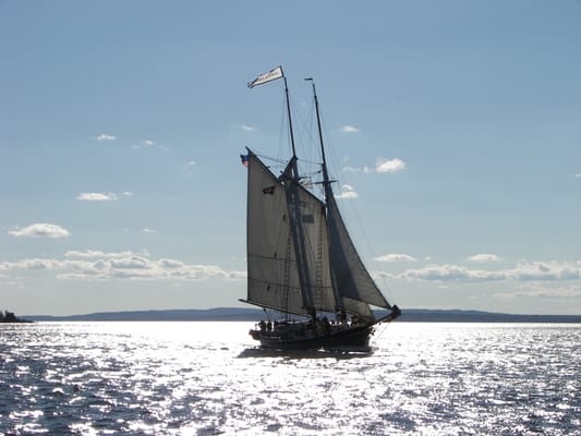 Windjammer Schooner Lewis R. French by null