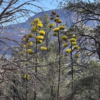 Western Gateway Trails - Hiking Near Me - Sedona, Arizona Western Gateway Trails - Hiking Near Me - Sedona, Arizona