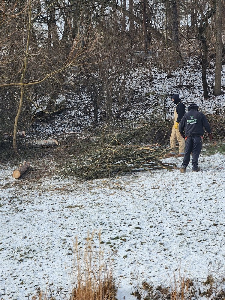 Heavy Tree Service - tree service in Finleyville, PA