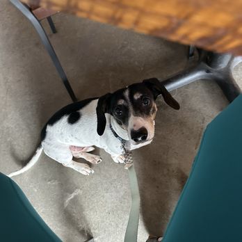 New Province Brewing - Pup friendly! - Breweries Near Me - Rogers, Arkansas