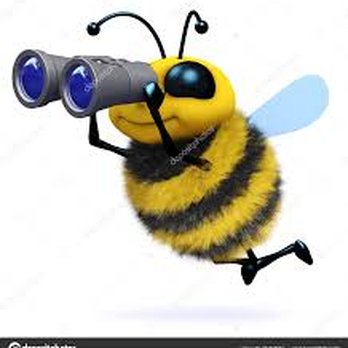 Bee Happy! Oceanside Clean - We've got you covered! And we are always on the look-out for new clients! - Home Cleaning Near Me - Parksville, British Columbia Bee Happy! Oceanside Clean - We've got you covered! And we are always on the look-out for new clients! - Home Cleaning Near Me - Parksville, British Columbia
