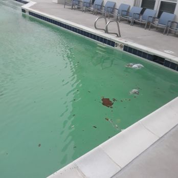 Mayflower Apartments - The outdoor swimming pool - Apartments Near Me - Virginia Beach, Virginia Mayflower Apartments - The outdoor swimming pool - Apartments Near Me - Virginia Beach, Virginia