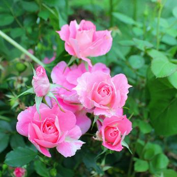 Long Island University Cw Post Campus 15 Photos Colleges Universities 720 Northern Blvd Glen Head Ny Phone Number Yelp