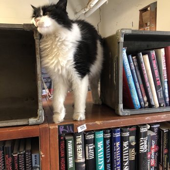 The Book Corner - Bookstores Near Me - Philadelphia, Pennsylvania The Book Corner - Bookstores Near Me - Philadelphia, Pennsylvania