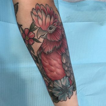 Orchard City Tattoo - Cockatiel - Tattoo Near Me - Orangevale, California Orchard City Tattoo - Cockatiel - Tattoo Near Me - Orangevale, California