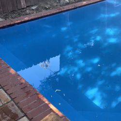 Tiki Tom Pools