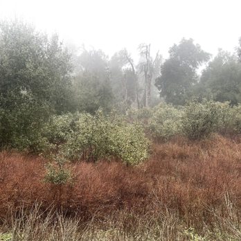 William Heise County Park - Park - Campgrounds Near Me - Julian, California