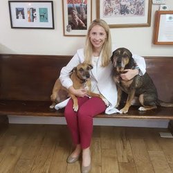 Advanced Veterinary Care