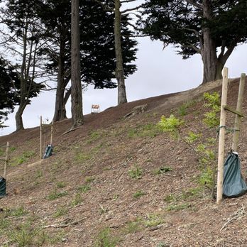 Gellert Park - New plantings in the park - Parks Near Me - Daly City, California Gellert Park - New plantings in the park - Parks Near Me - Daly City, California