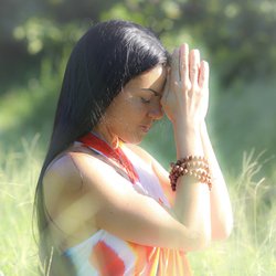 Root and Elevate - Massage & Yoga