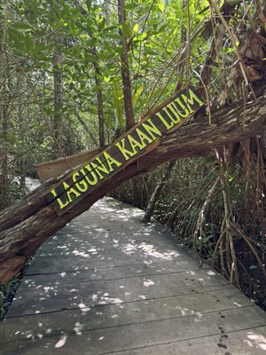 Laguna de Kaan Luum by null