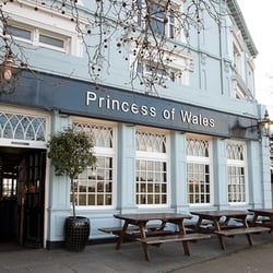 The Princess Of Wales