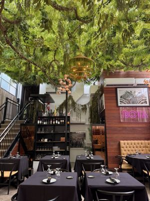 BOTA Supper Club by null