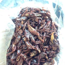 Bolsa de Chapulines $5