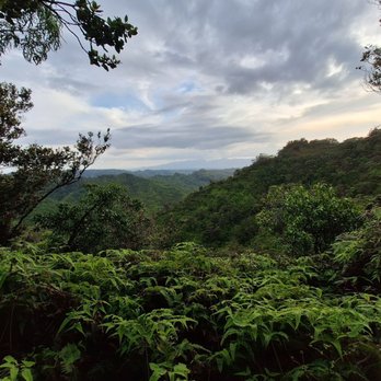 Poamoho Ridge Trail - Hiking Near Me - Wahiawa, Hawaii Poamoho Ridge Trail - Hiking Near Me - Wahiawa, Hawaii