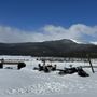 Photo of Alpine Adventures