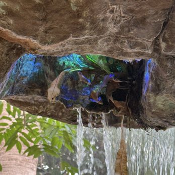 The Dallas World Aquarium - Cool views - Aquariums Near Me - Dallas, Texas The Dallas World Aquarium - Cool views - Aquariums Near Me - Dallas, Texas