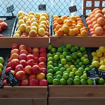 Talarico's Produce - Artfully laid out displays of produce - Fruits & Veggies Near Me - Portland, Oregon