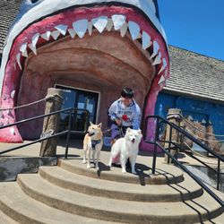 Sharky's - Cute spot for a photo!