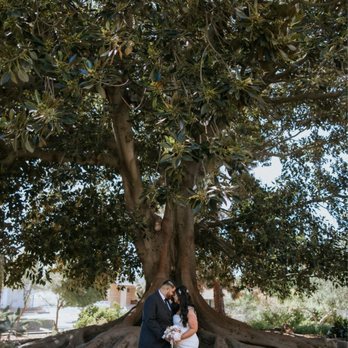 JustinPic - Our elopement photos at Shin Garden. Fremont, CA - Event Photography Near Me JustinPic - Our elopement photos at Shin Garden. Fremont, CA - Event Photography Near Me