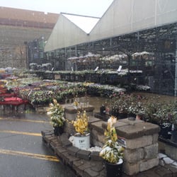 Lowe's Home Improvement - Snowing in it side garden center.
