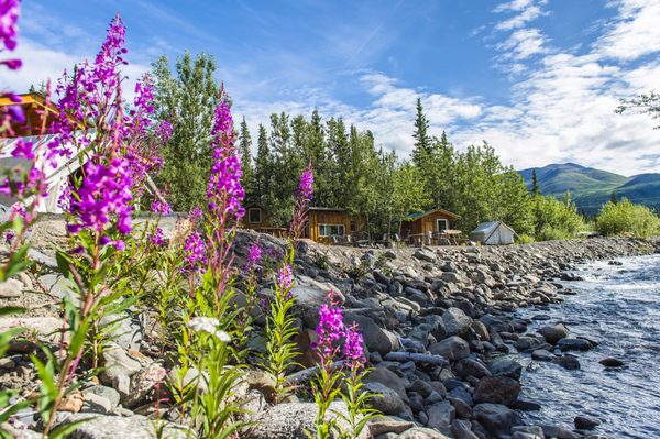 Denali Hostel & Cabins by null