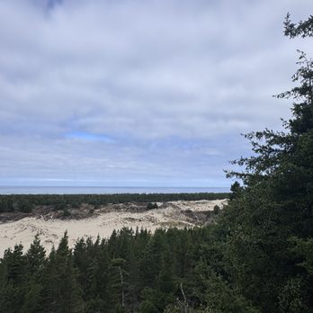 Oregon Dunes Overlook and Day Use Area - Dunes - Hiking Near Me - Gardiner, Oregon