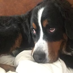 Winston Winston