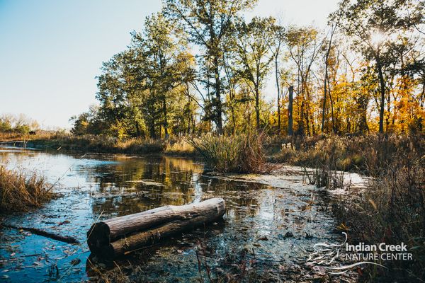 Indian Creek Nature Center by null
