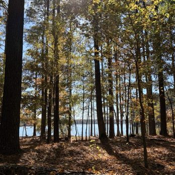 Harris Lake County Park - Fresh air and sunshine - Parks Near Me - New Hill, North Carolina