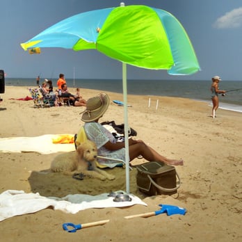 Cape Henlopen State Park - Fishing, doggies, sun, surf and sand! - Parks Near Me - Lewes, Delaware