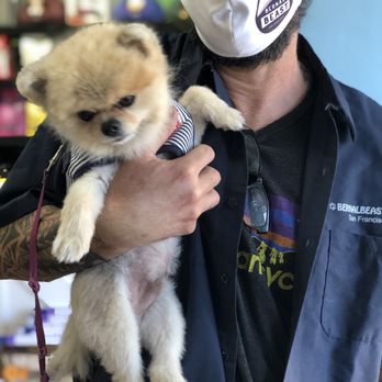 Bernal Beast - Pet Stores Near Me - San Francisco, California