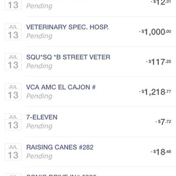 FACE Foundation - Amount I had already spent in vets just for pain meds - Pet Services Near Me - San Diego, California